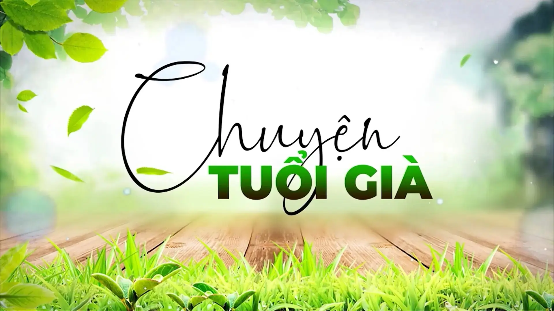 Bữa sáng với sức khỏe người cao tuổi | Chuyện tuổi già | 02/11/2025